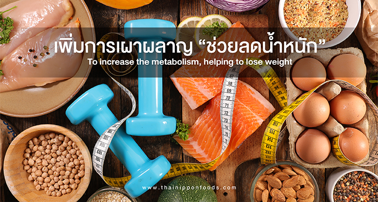 ประโยชน์ของโปรตีนทั้งจากพืชและสัตว์ที่หลายคนไม่เคยรู้ - THAI NIPPON FOODS CO., LTD