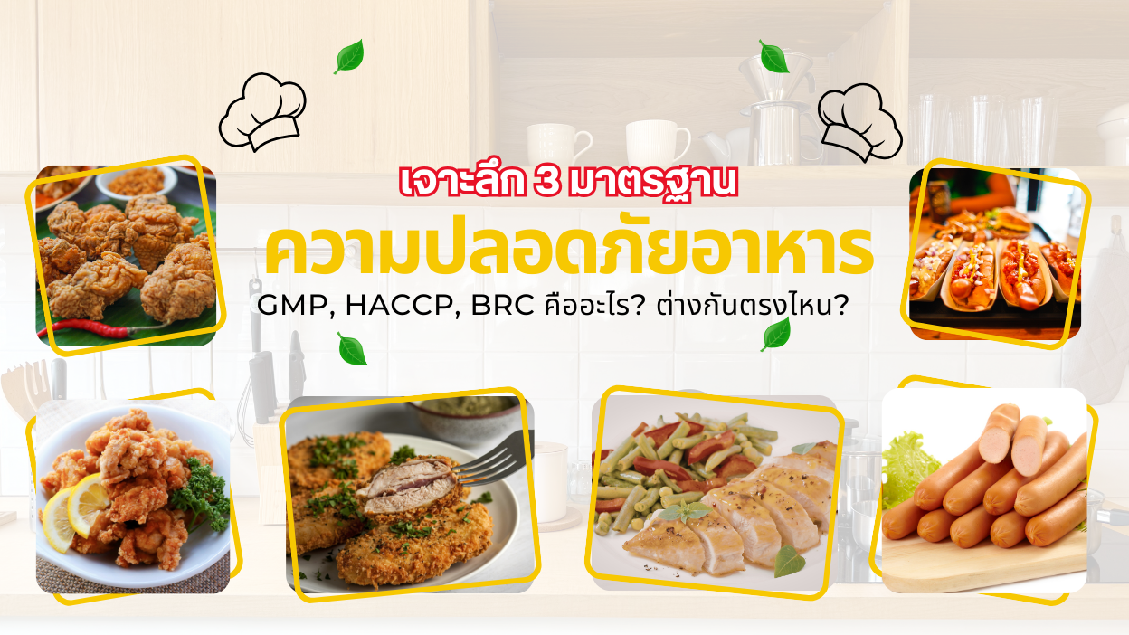 เจาะลึก 3 มาตรฐานความปลอดภัยอาหาร GMP, HACCP, BRC คืออะไร? ต่างกันตรงไหน?