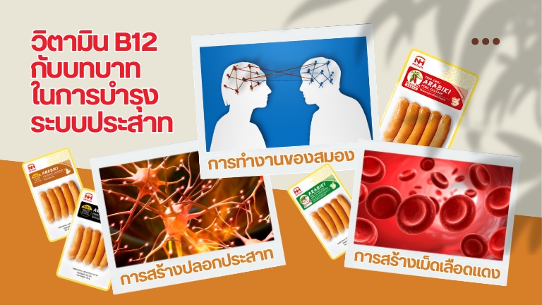 วิตามิน B12 กับบทบาทในการบำรุงระบบประสาท